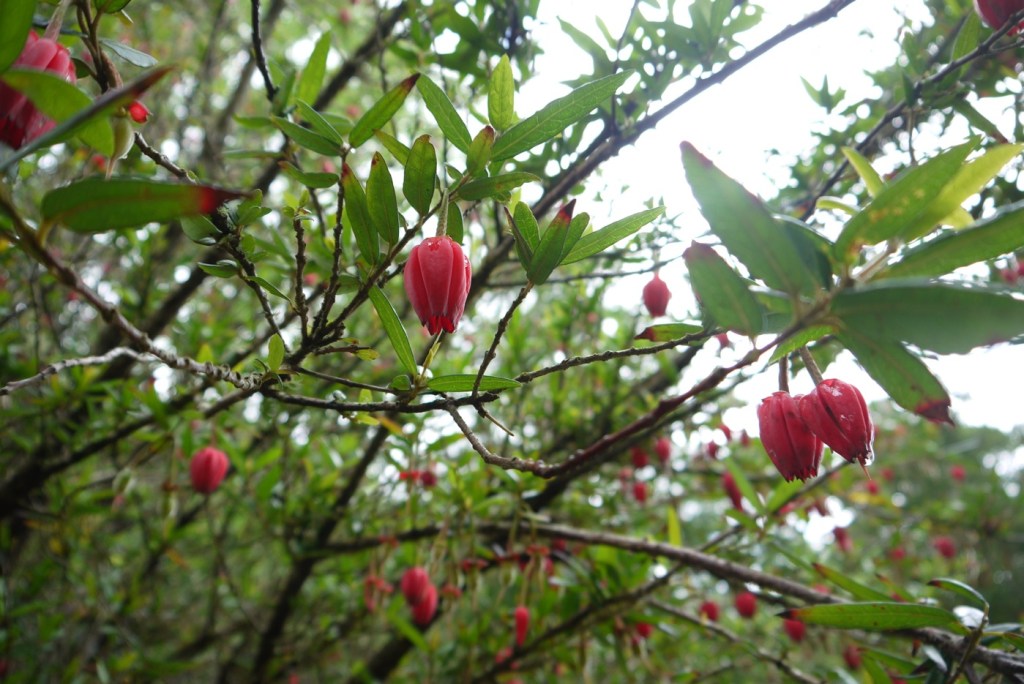P1140714
