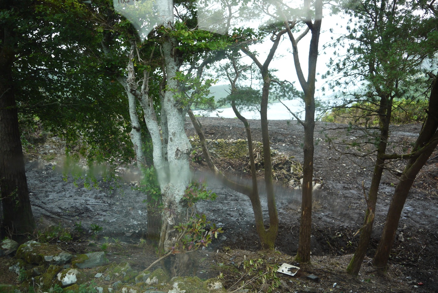 P1140782 mass grave