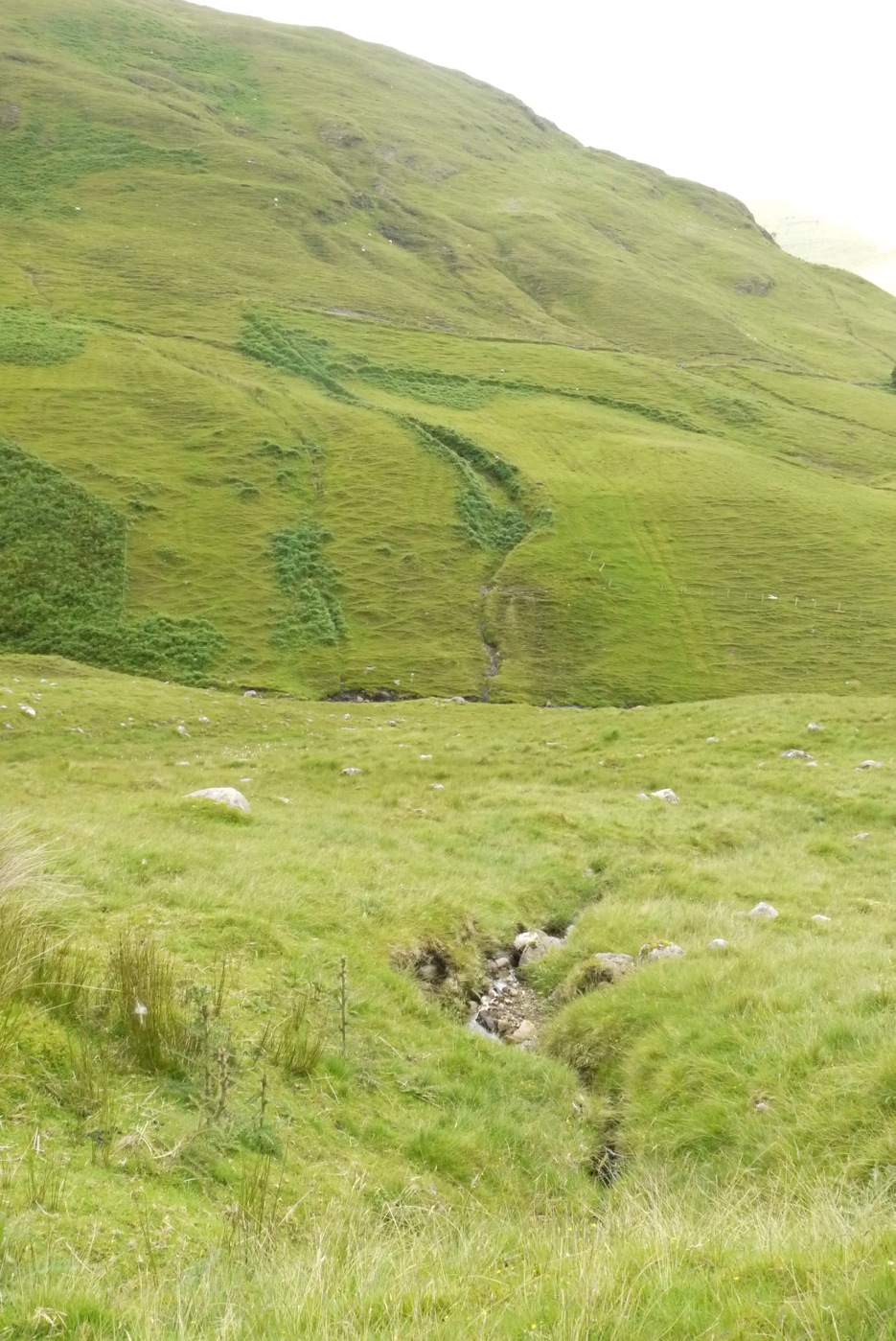 P1140819 finny valley ridges