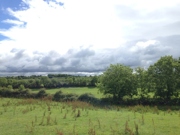 1 2016-06-29 10.35.23 loughneera