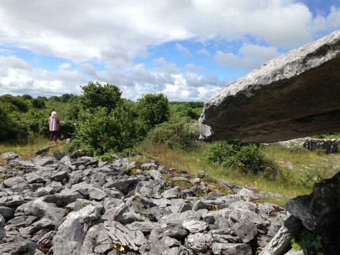 10 2016-06-29 11.20.19