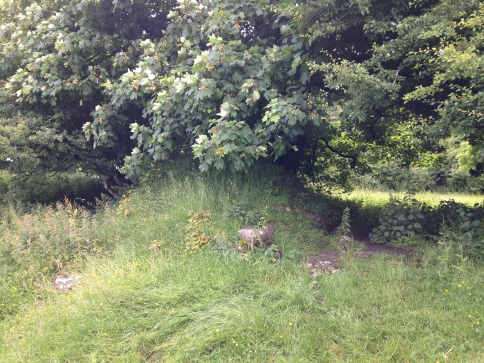 3 2016-06-29 10.10.01 coming out or ring fort