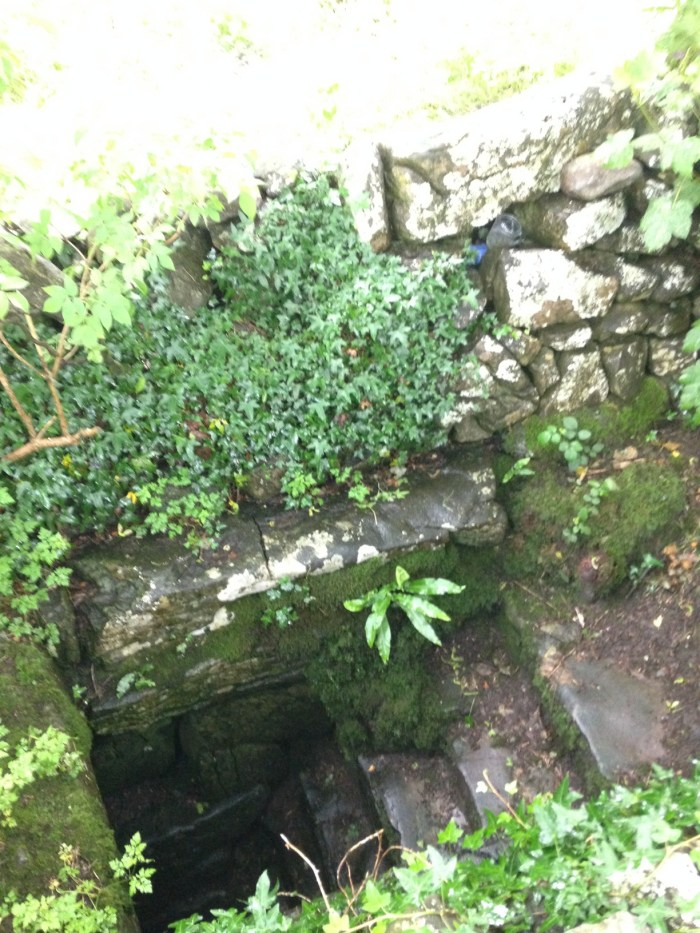 4 2016-06-29 10.13.02 center well