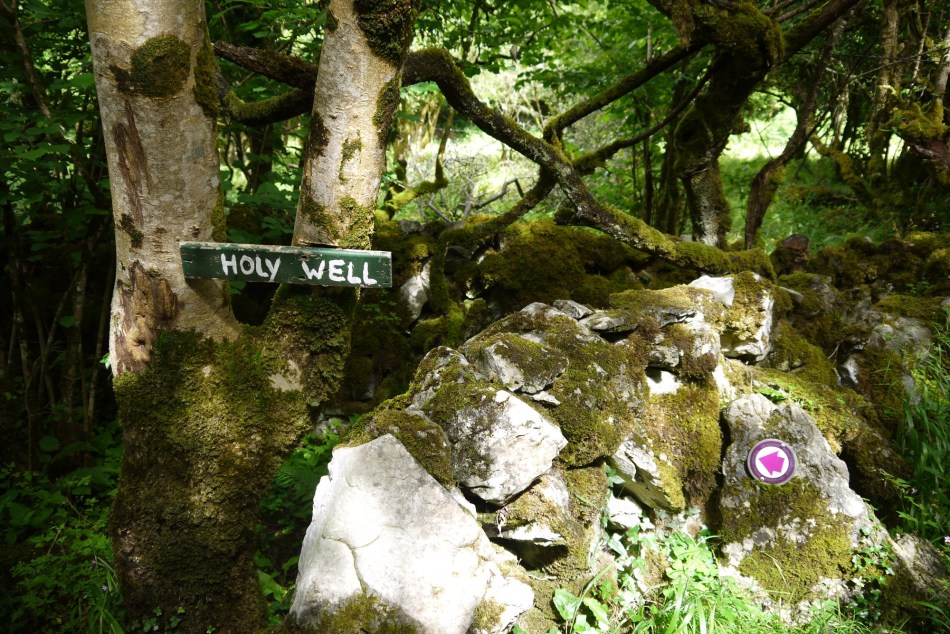 11 P1150087 holy well sign