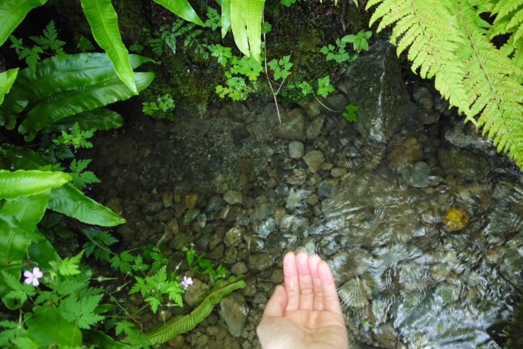 愛爾蘭遊記:The Burren(綠水篇)