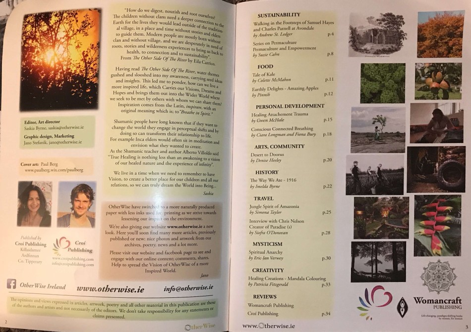 Otherwise Ireland Issue 7