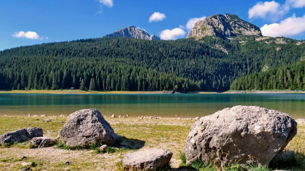 What’s your attitude to nature and why should we think about&nbsp;it?